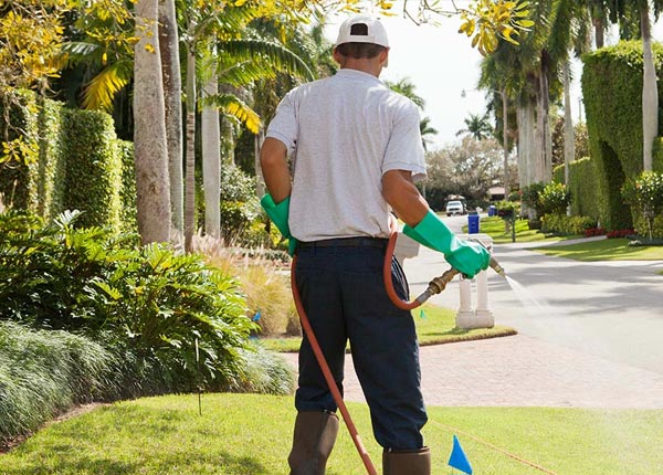 About Pearland TX Pest Control Pros